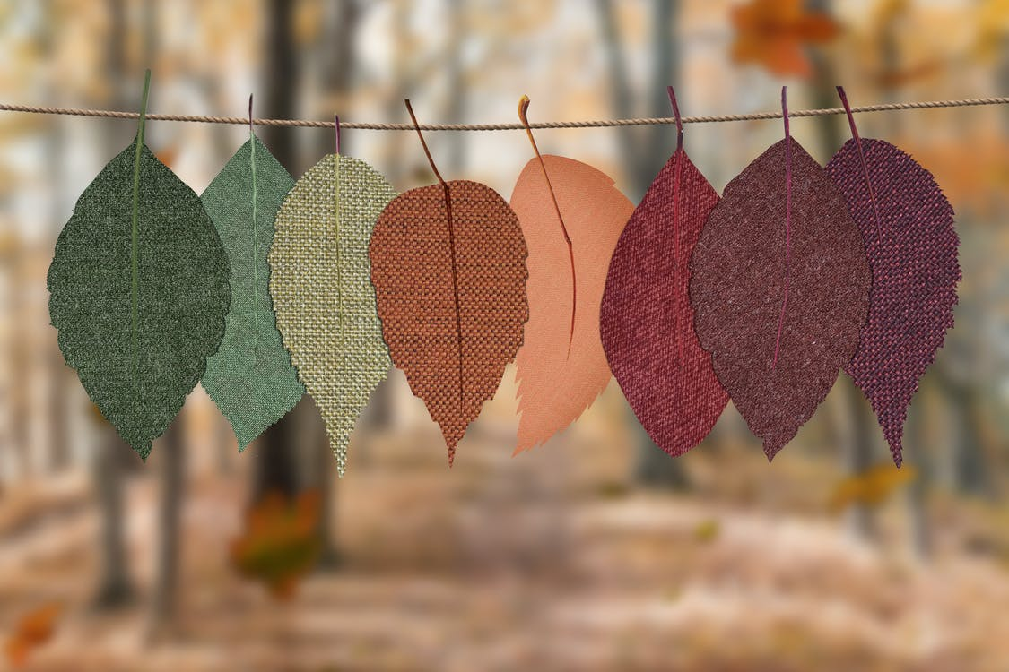 50 Zitate über den Herbst, um die Schönheit des Herbstes einzufangen