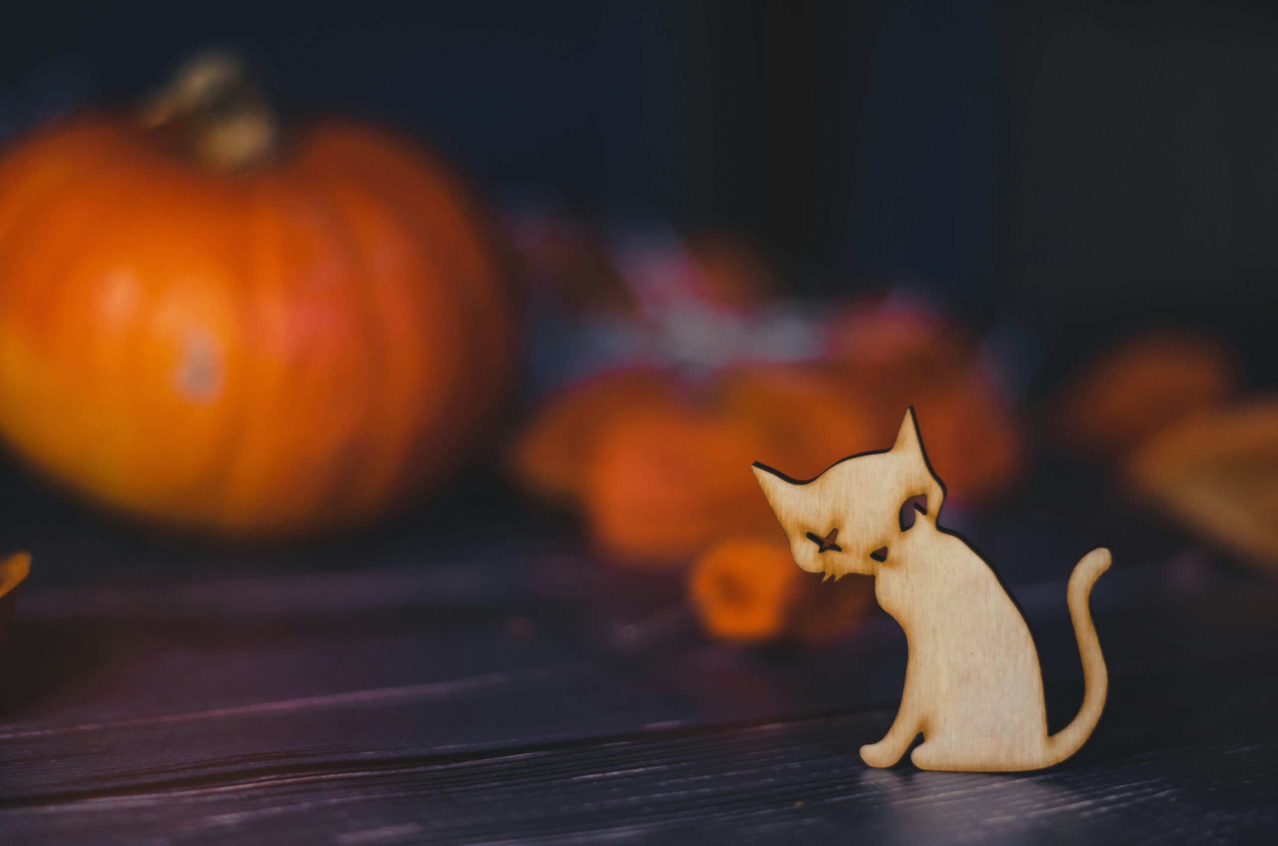 Über 50 Halloween-inspirierte Katzennamen, die den Miau-zauberhaften Zauber entfesseln