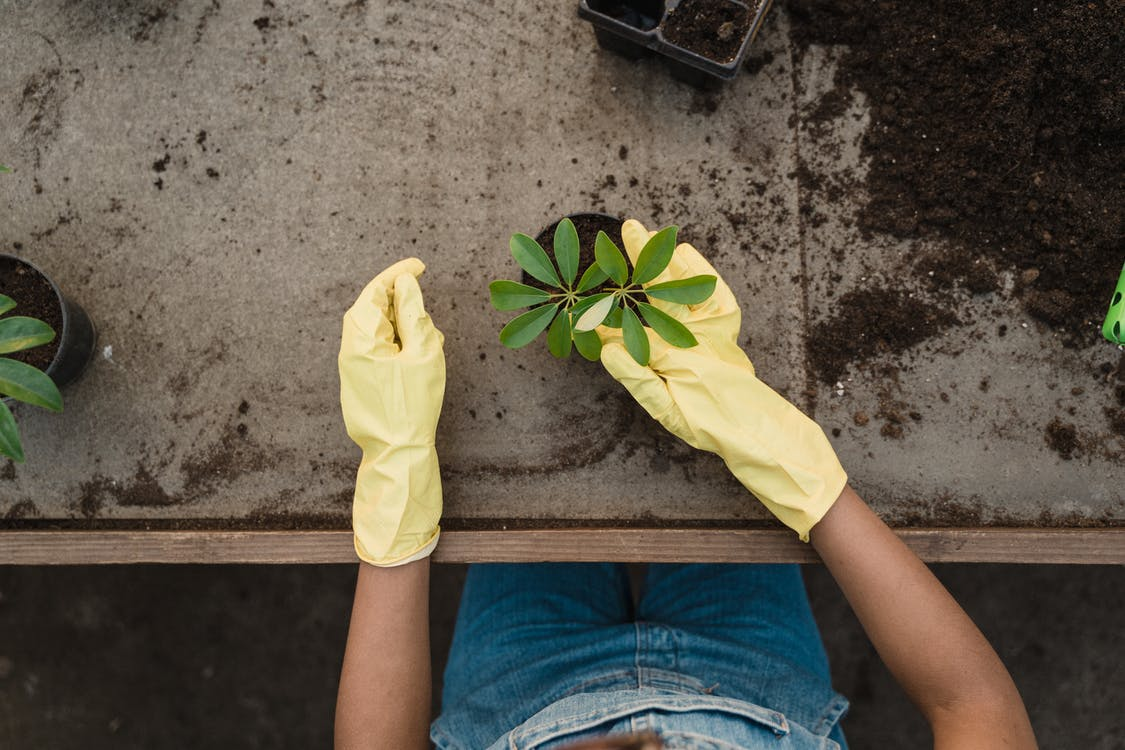 8 exklusive Geschenke für Gartenliebhaber, der Gartenbau liebt
