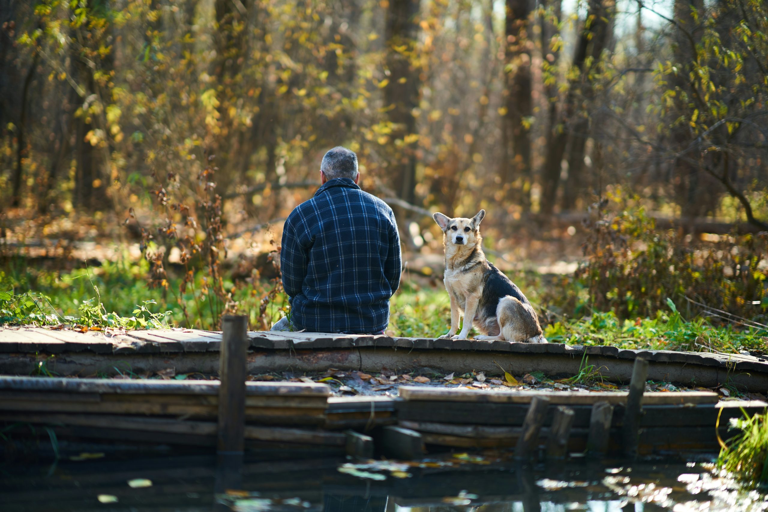 13 Vatertagsgeschenk von Hund – Er wird schockiert sein, seine Geschenke zu sehen