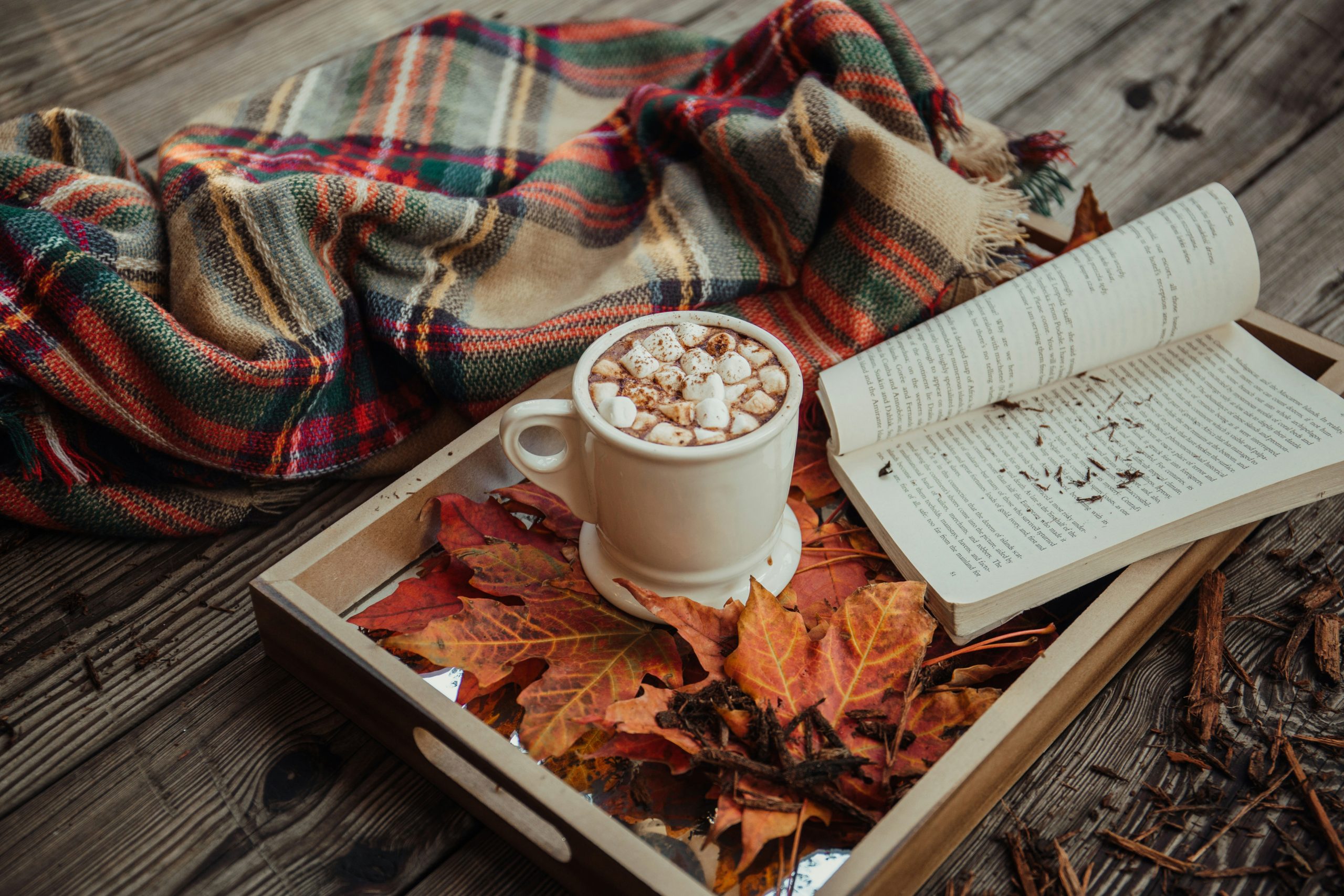 40 inspirierende November-Sprüche über Herbststimmung und Dankbarkeit